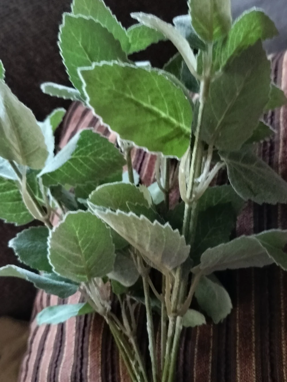 Hobby Lobby Green Faux Lambs Ear Stem